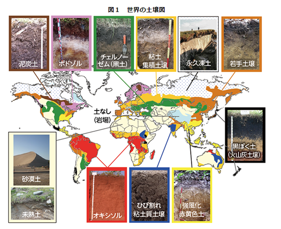 土って何だろう 世界の土壌分布と気候